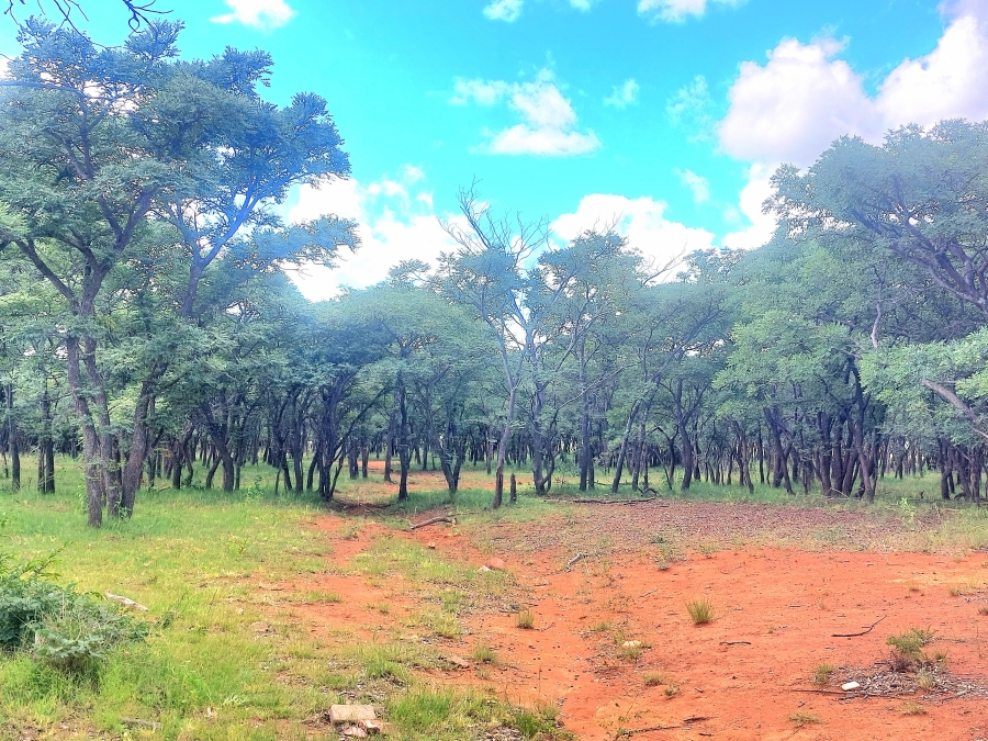4 Bedroom Property for Sale in Modimolle Limpopo