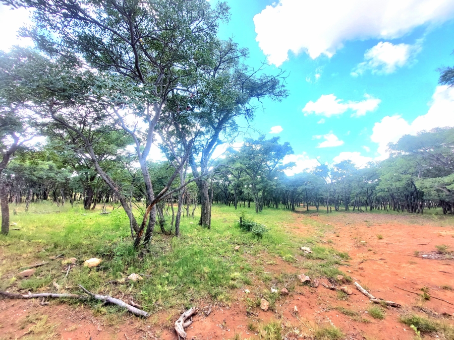 4 Bedroom Property for Sale in Modimolle Limpopo