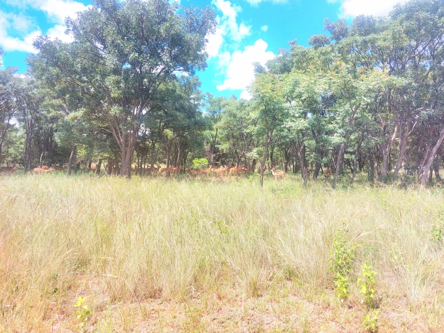 4 Bedroom Property for Sale in Modimolle Limpopo