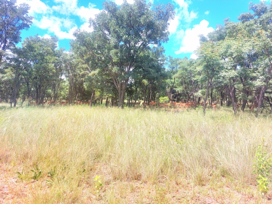 4 Bedroom Property for Sale in Modimolle Limpopo