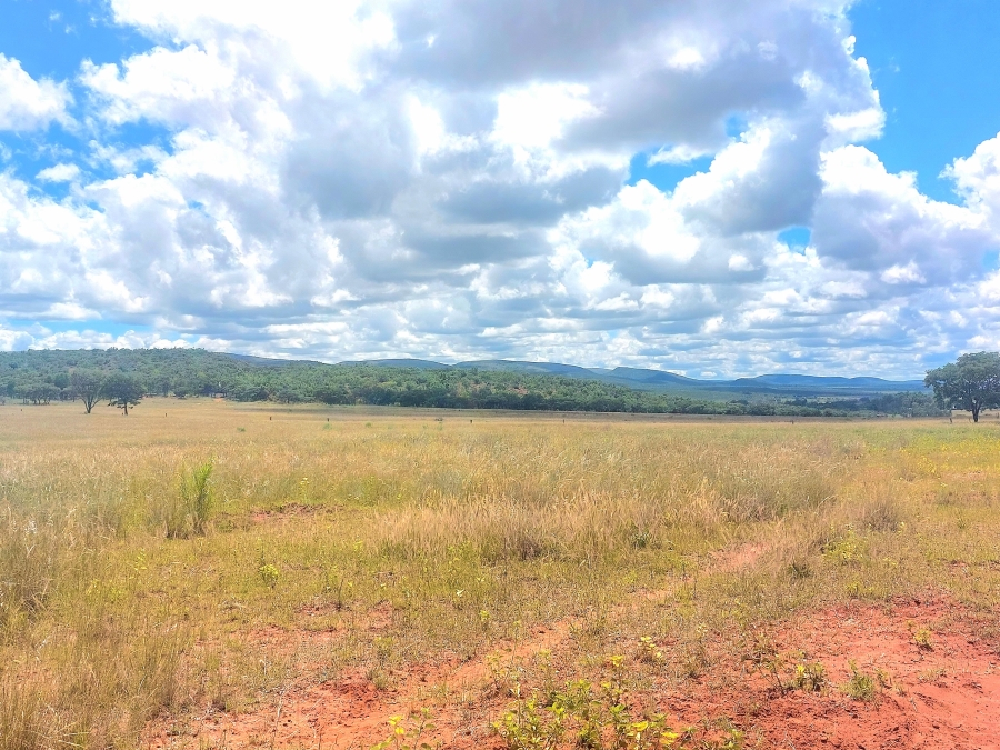 4 Bedroom Property for Sale in Modimolle Limpopo