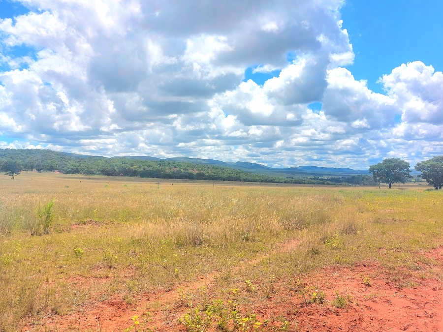4 Bedroom Property for Sale in Modimolle Limpopo
