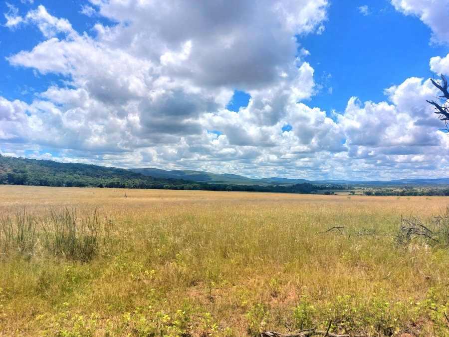 4 Bedroom Property for Sale in Modimolle Limpopo