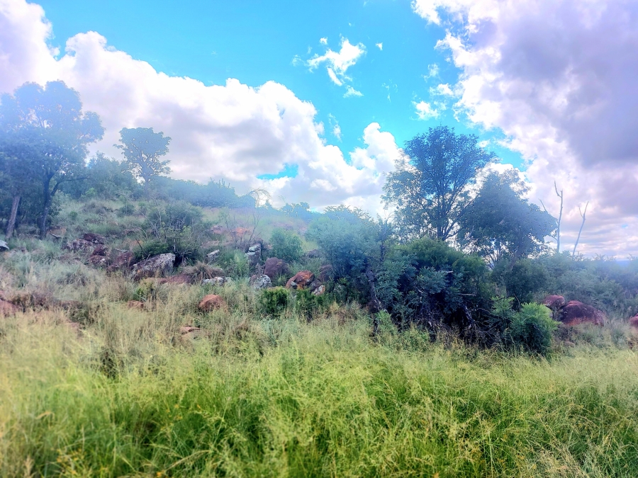 4 Bedroom Property for Sale in Modimolle Limpopo