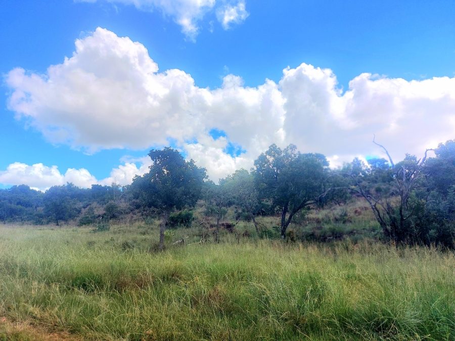 4 Bedroom Property for Sale in Modimolle Limpopo