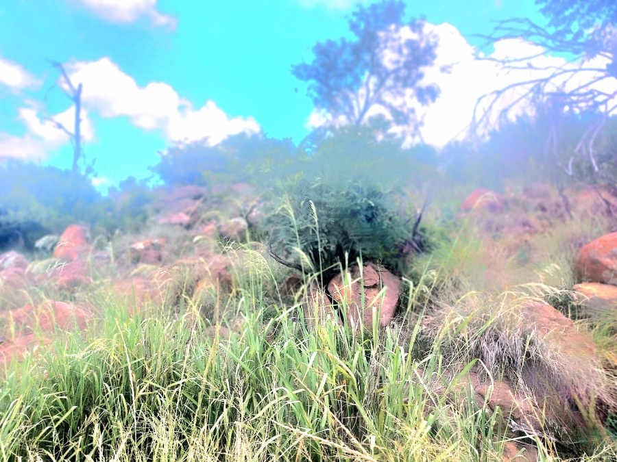 4 Bedroom Property for Sale in Modimolle Limpopo