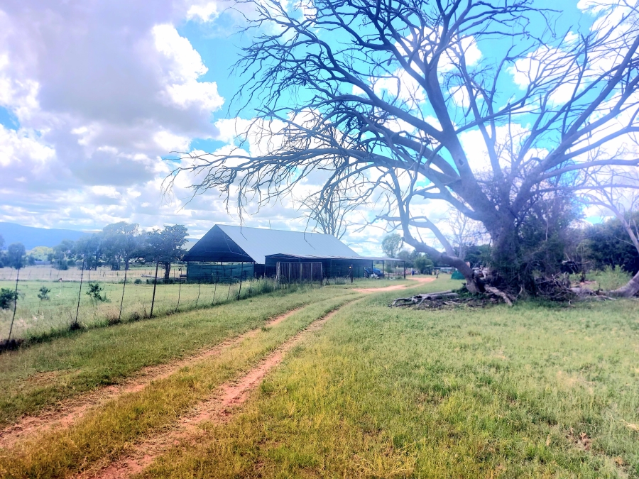 4 Bedroom Property for Sale in Modimolle Limpopo