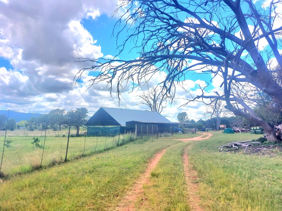 4 Bedroom Property for Sale in Modimolle Limpopo