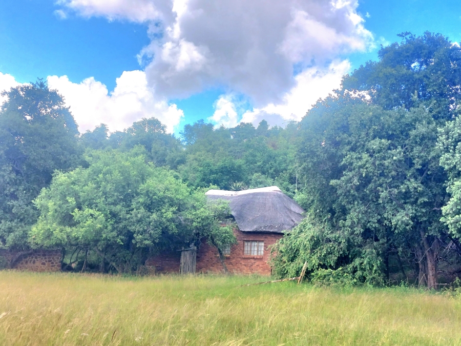 4 Bedroom Property for Sale in Modimolle Limpopo