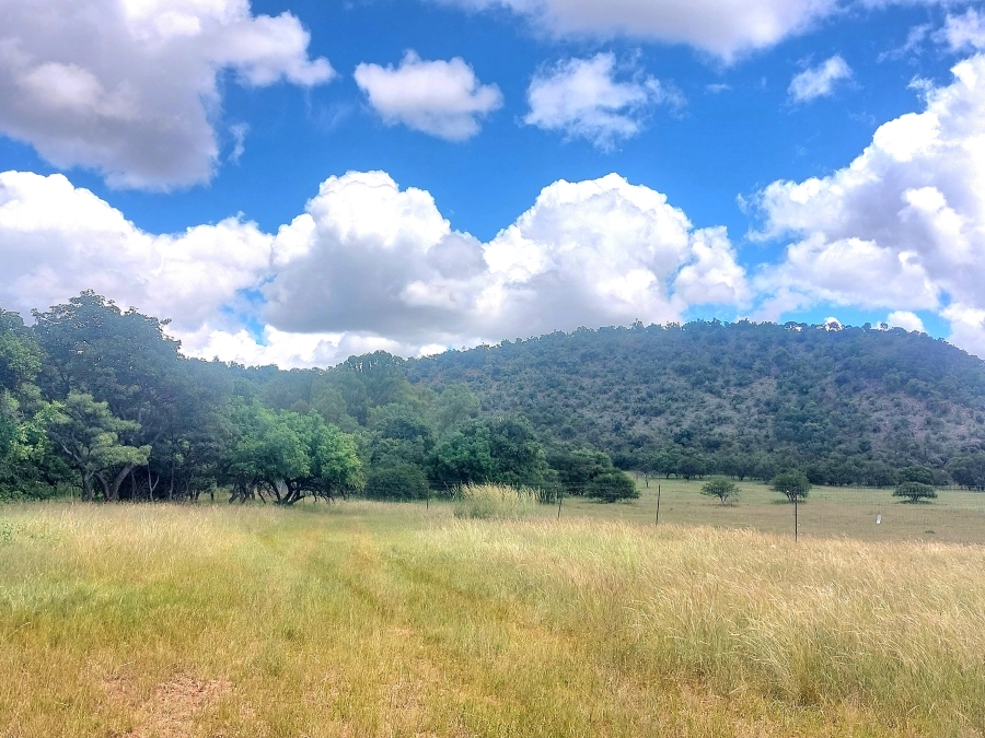4 Bedroom Property for Sale in Modimolle Limpopo