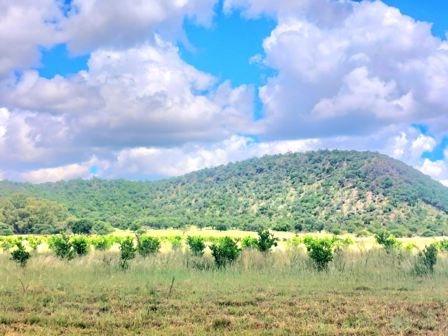 4 Bedroom Property for Sale in Modimolle Limpopo