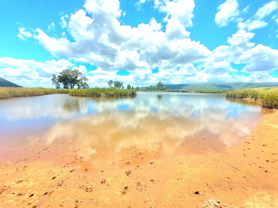 4 Bedroom Property for Sale in Modimolle Limpopo
