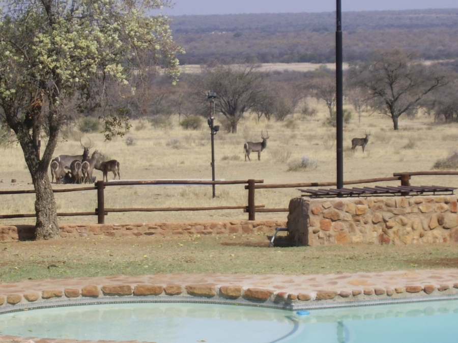 Commercial Property for Sale in Modimolle Limpopo