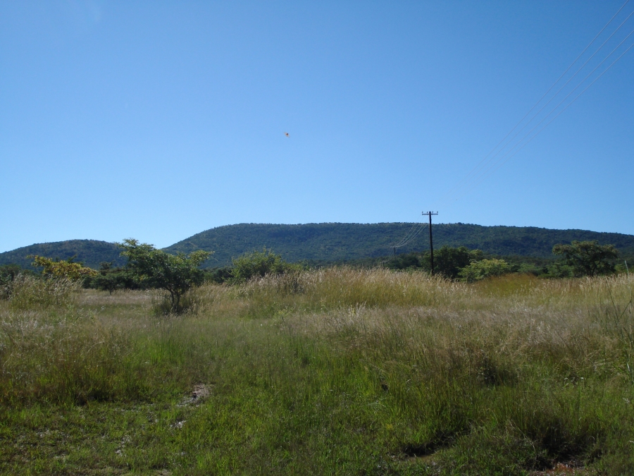 Commercial Property for Sale in Modimolle Limpopo
