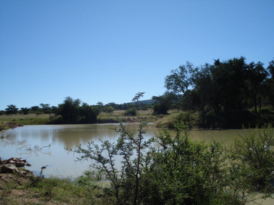 Commercial Property for Sale in Modimolle Limpopo