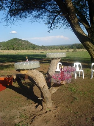 Commercial Property for Sale in Modimolle Limpopo