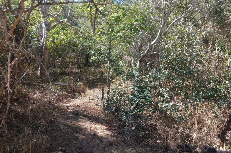 0 Bedroom Property for Sale in Moditlo Wildlife Estate Limpopo