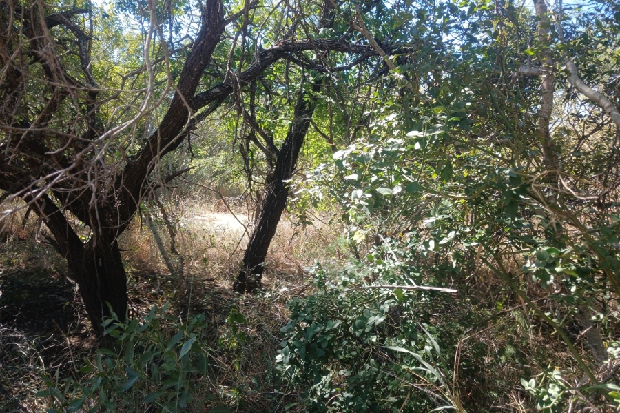 0 Bedroom Property for Sale in Moditlo Wildlife Estate Limpopo
