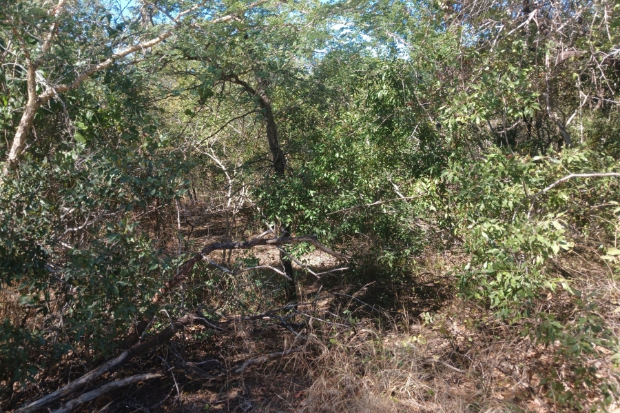 0 Bedroom Property for Sale in Moditlo Wildlife Estate Limpopo