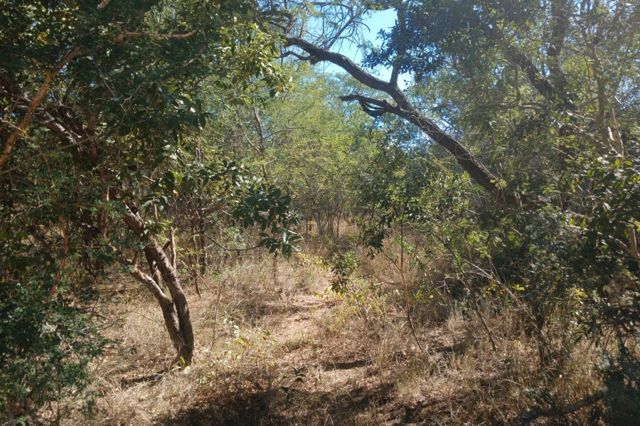 0 Bedroom Property for Sale in Moditlo Wildlife Estate Limpopo