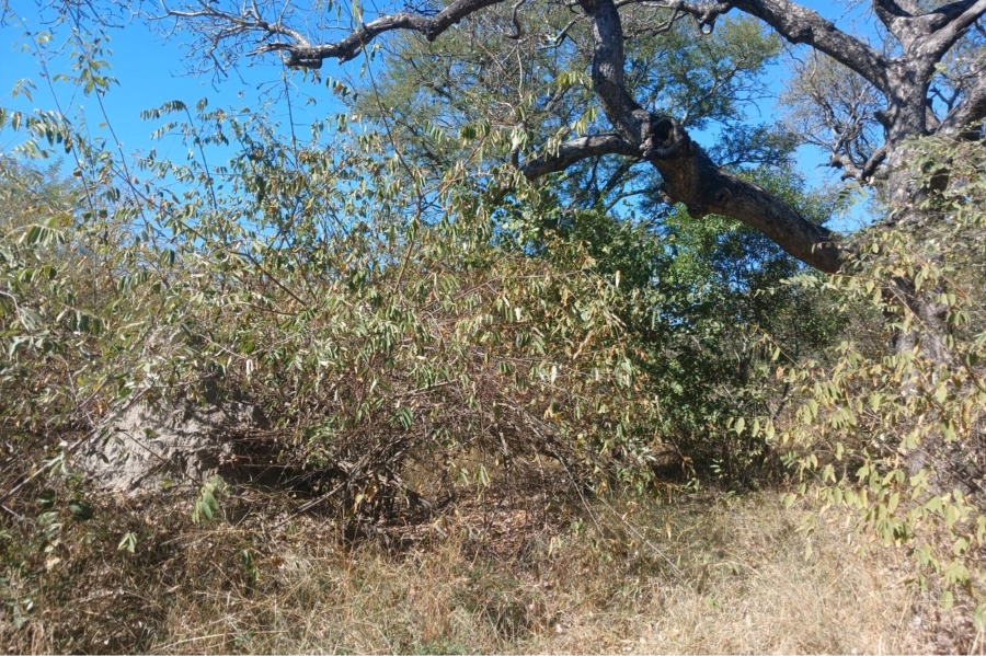 0 Bedroom Property for Sale in Moditlo Wildlife Estate Limpopo