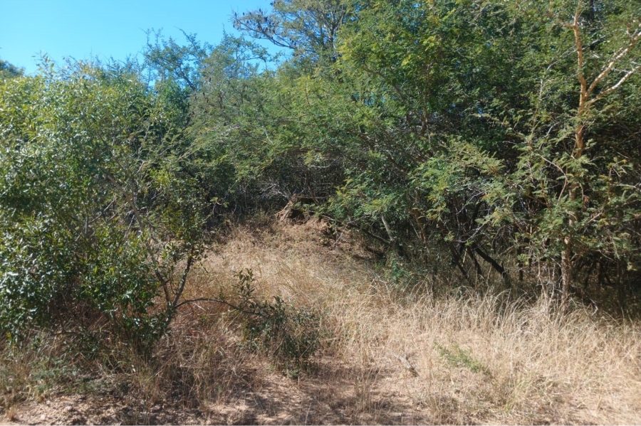 0 Bedroom Property for Sale in Moditlo Wildlife Estate Limpopo
