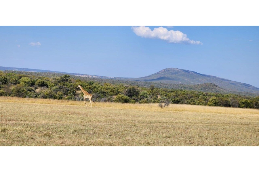 5 Bedroom Property for Sale in Zebula Golf Estate Limpopo