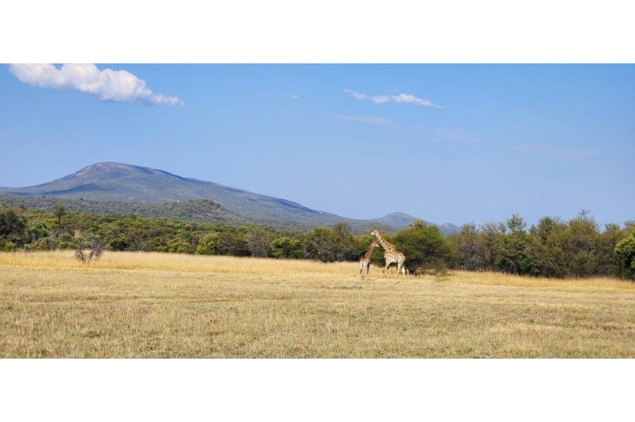 5 Bedroom Property for Sale in Zebula Golf Estate Limpopo