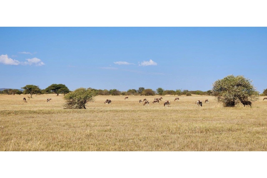 5 Bedroom Property for Sale in Zebula Golf Estate Limpopo