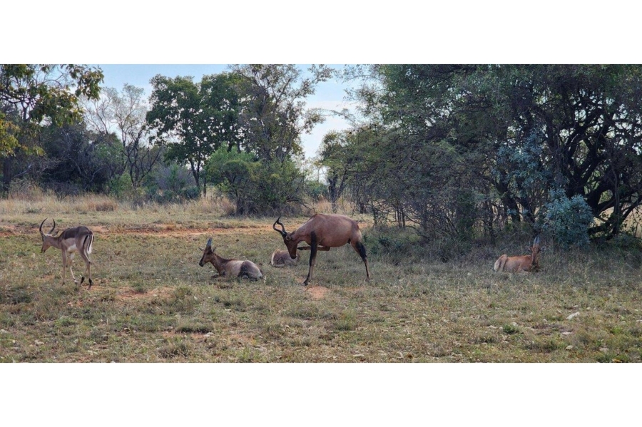 5 Bedroom Property for Sale in Zebula Golf Estate Limpopo