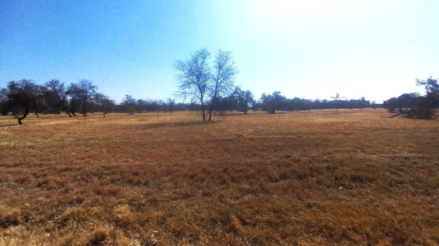 0 Bedroom Property for Sale in Bela Bela Limpopo
