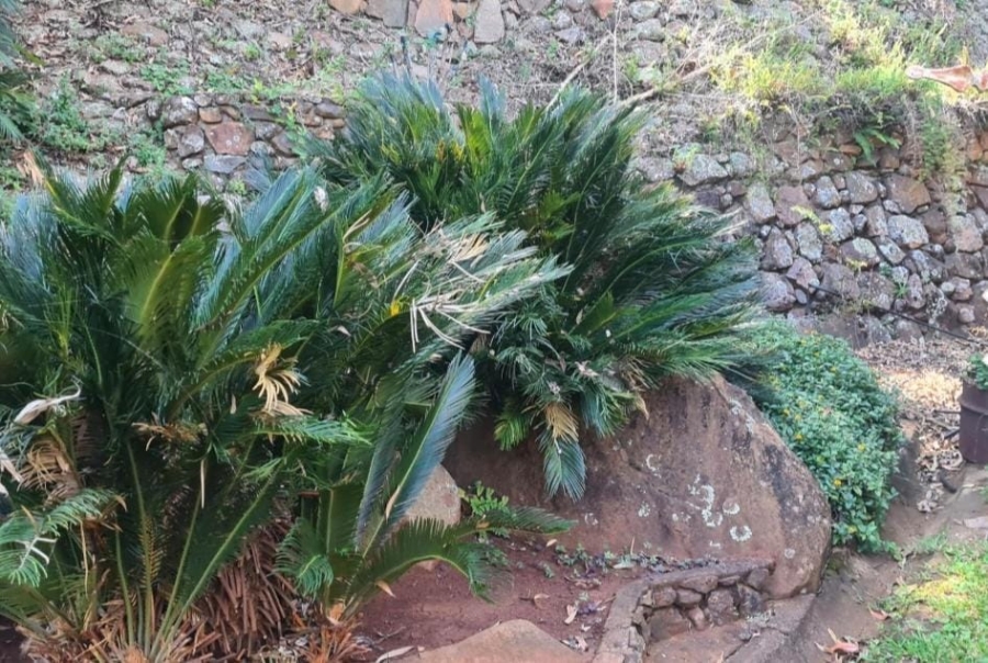Commercial Property for Sale in Makhado Limpopo