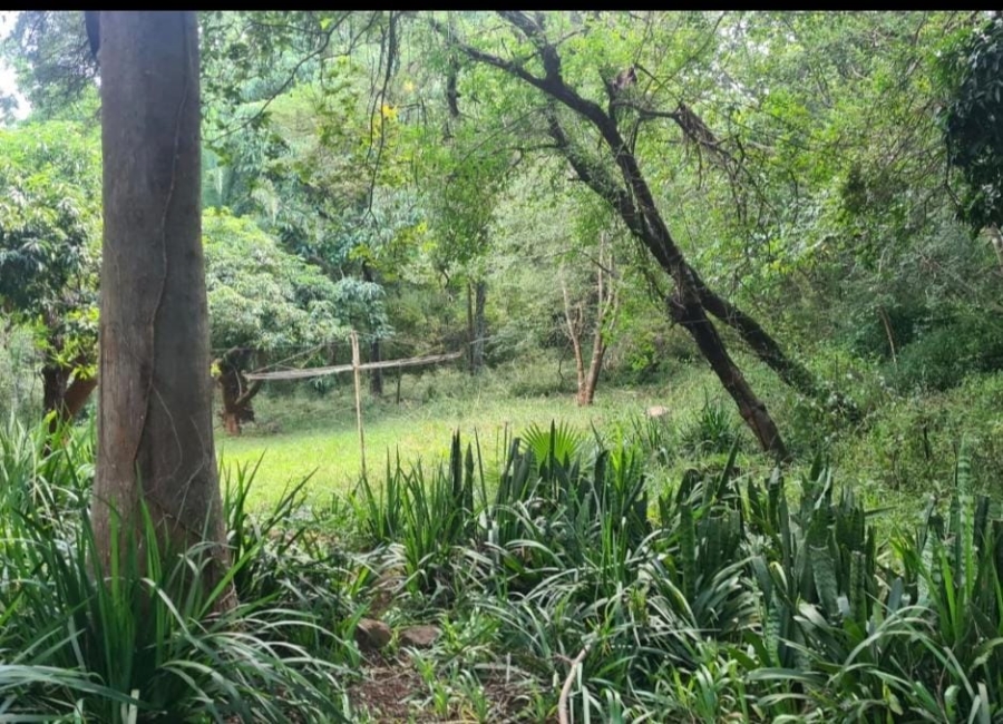 Commercial Property for Sale in Makhado Limpopo