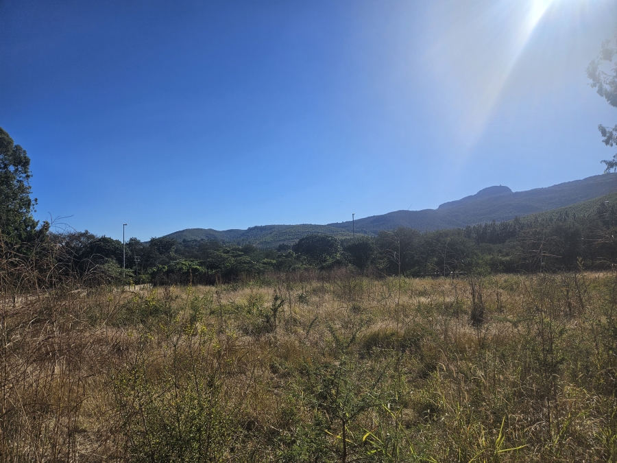 0 Bedroom Property for Sale in Louis Trichardt Limpopo