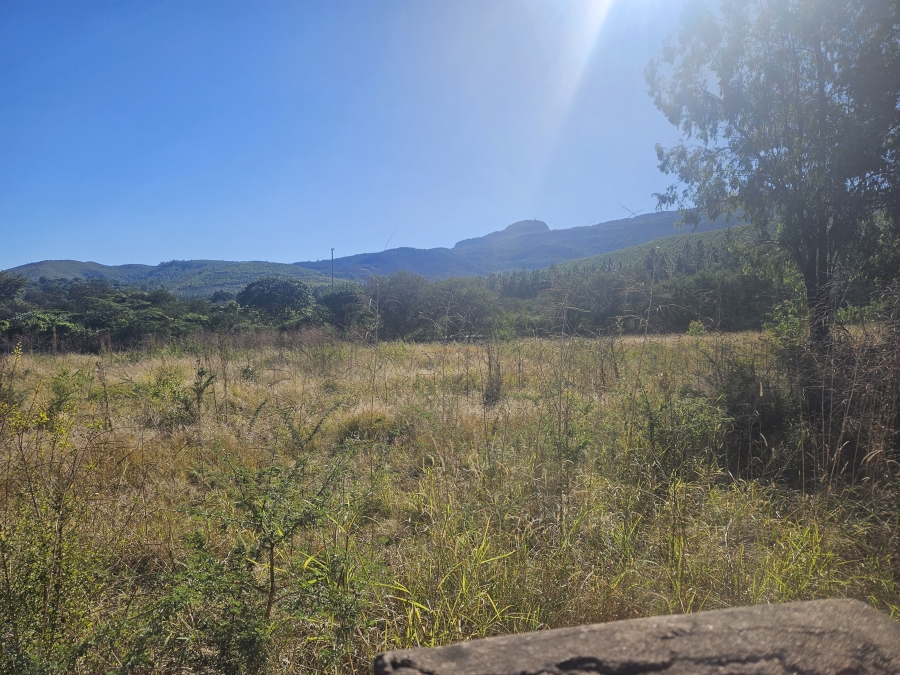 0 Bedroom Property for Sale in Louis Trichardt Limpopo
