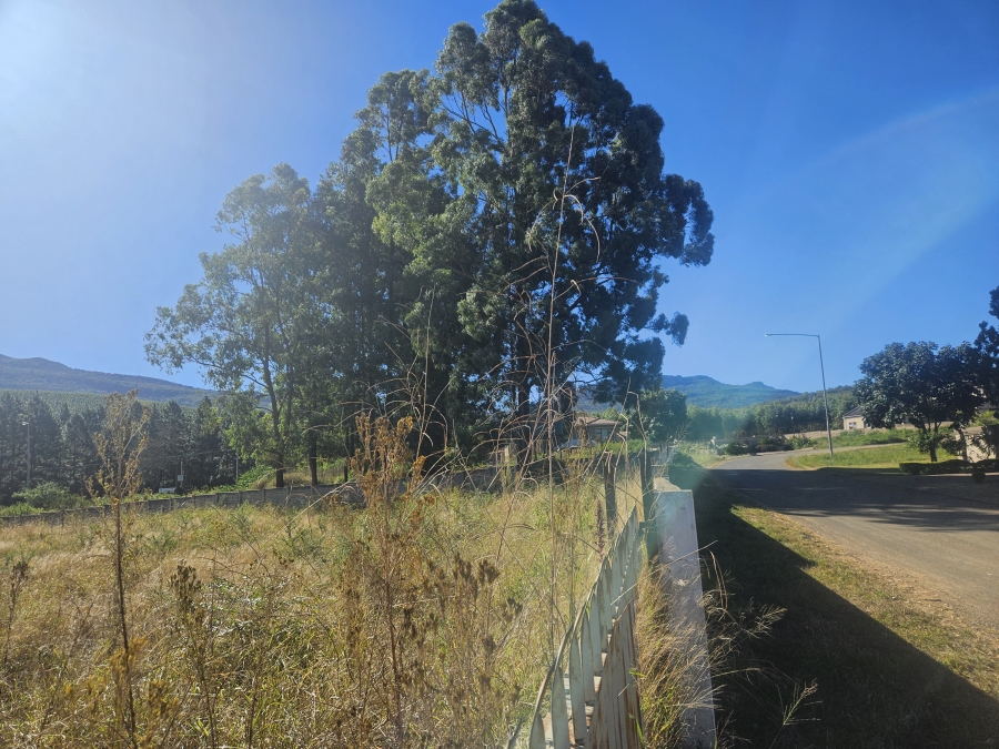 0 Bedroom Property for Sale in Louis Trichardt Limpopo
