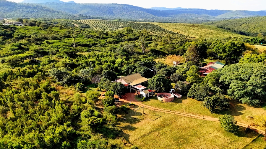 0 Bedroom Property for Sale in Louis Trichardt Limpopo