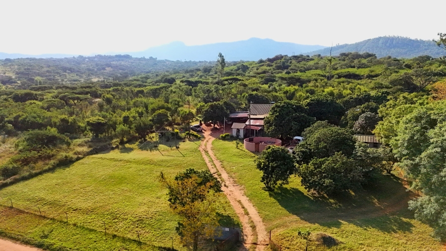 0 Bedroom Property for Sale in Louis Trichardt Limpopo