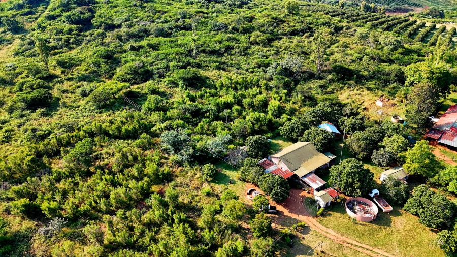 0 Bedroom Property for Sale in Louis Trichardt Limpopo