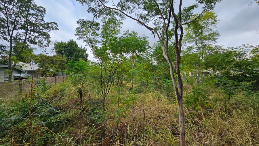 0 Bedroom Property for Sale in Polokwane Central Limpopo