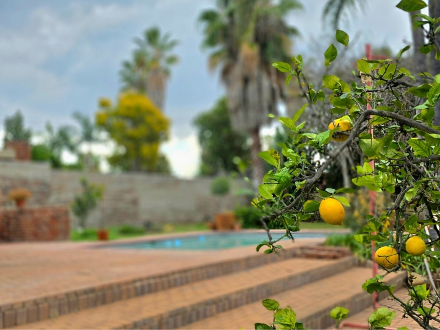 6 Bedroom Property for Sale in Bendor Limpopo