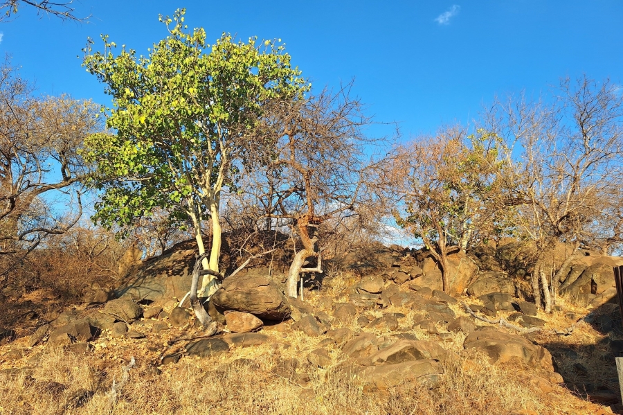To Let 3 Bedroom Property for Rent in Raptors View Wildlife Estate Limpopo
