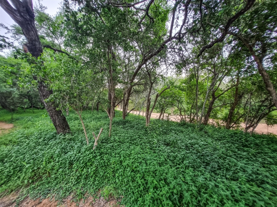 4 Bedroom Property for Sale in Raptors View Wildlife Estate Limpopo