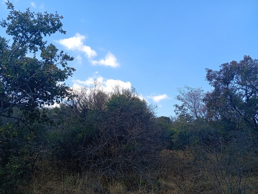 0 Bedroom Property for Sale in Bela Bela Limpopo