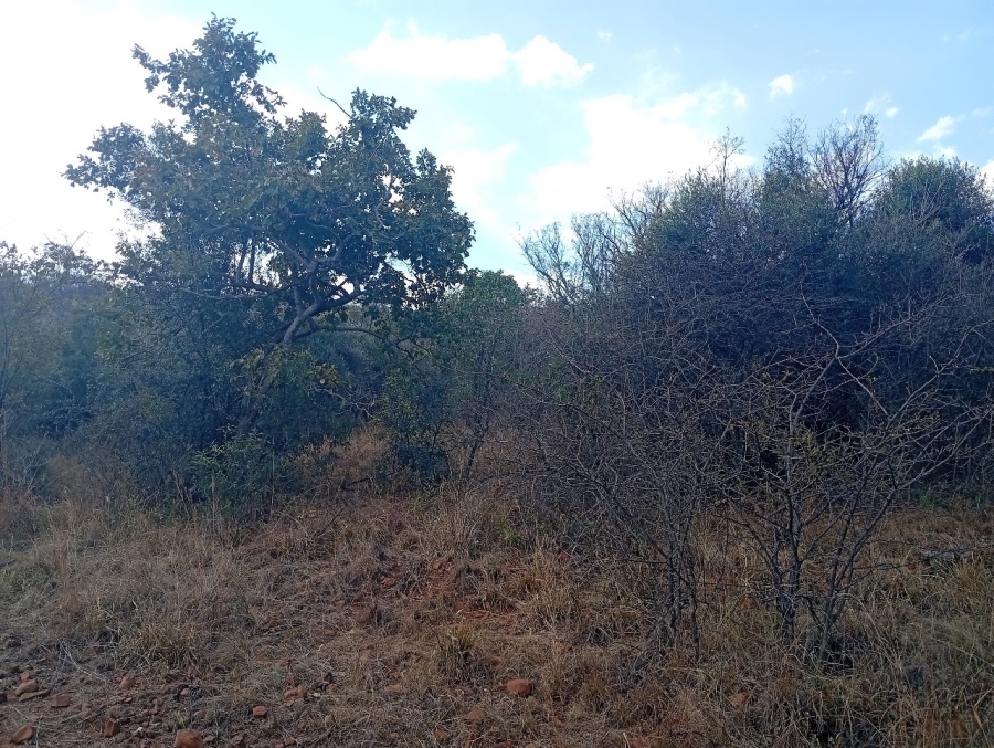 0 Bedroom Property for Sale in Bela Bela Limpopo