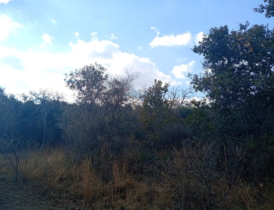 0 Bedroom Property for Sale in Bela Bela Limpopo