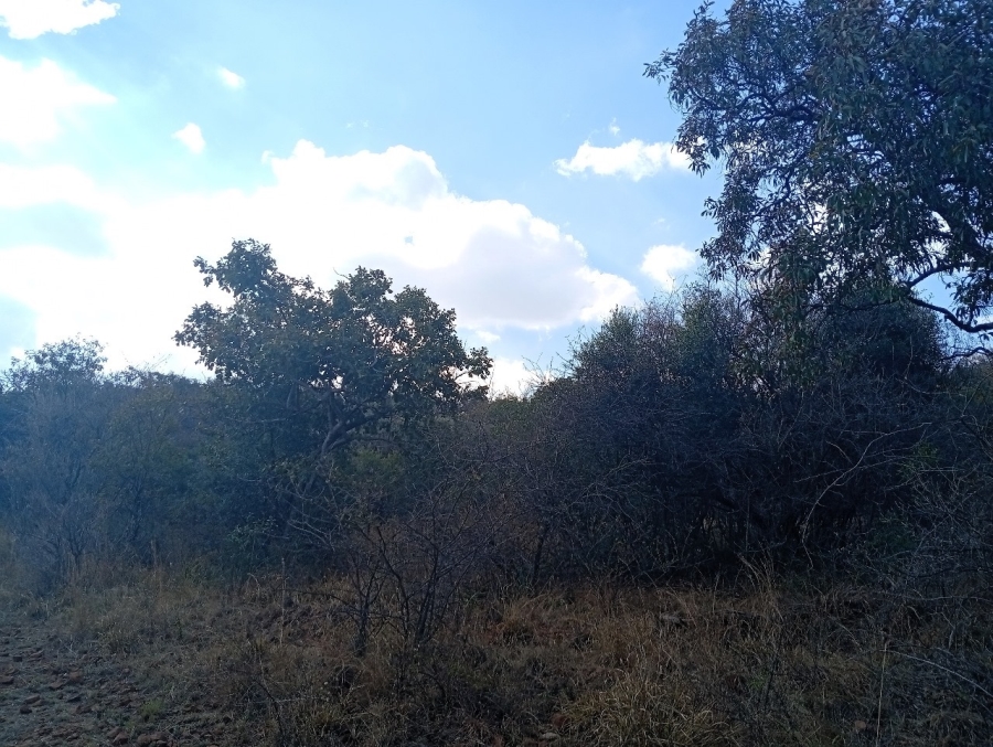 0 Bedroom Property for Sale in Bela Bela Limpopo