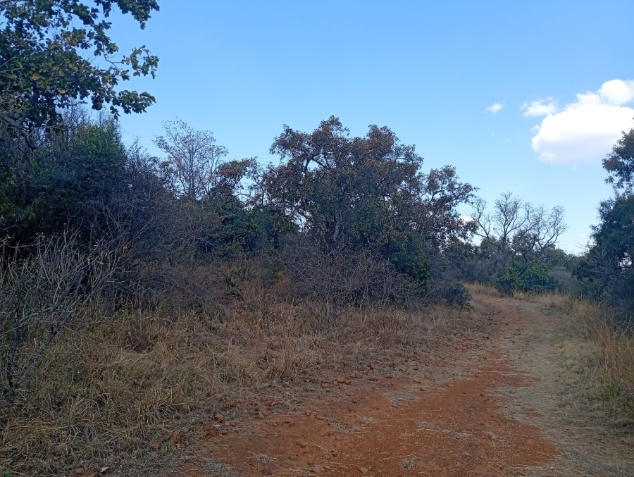 0 Bedroom Property for Sale in Bela Bela Limpopo