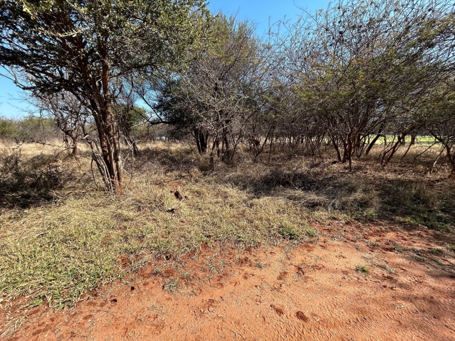 0 Bedroom Property for Sale in Chroompark Limpopo