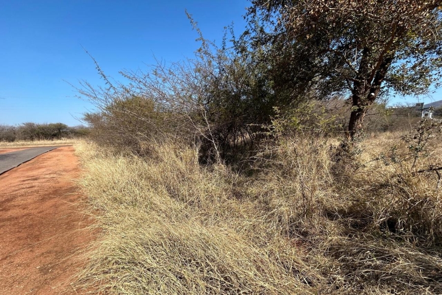0 Bedroom Property for Sale in Chroompark Limpopo
